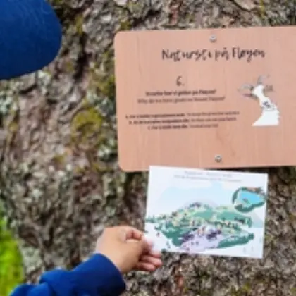 Natursti på Fløyen