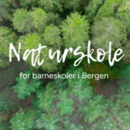 Naturskole