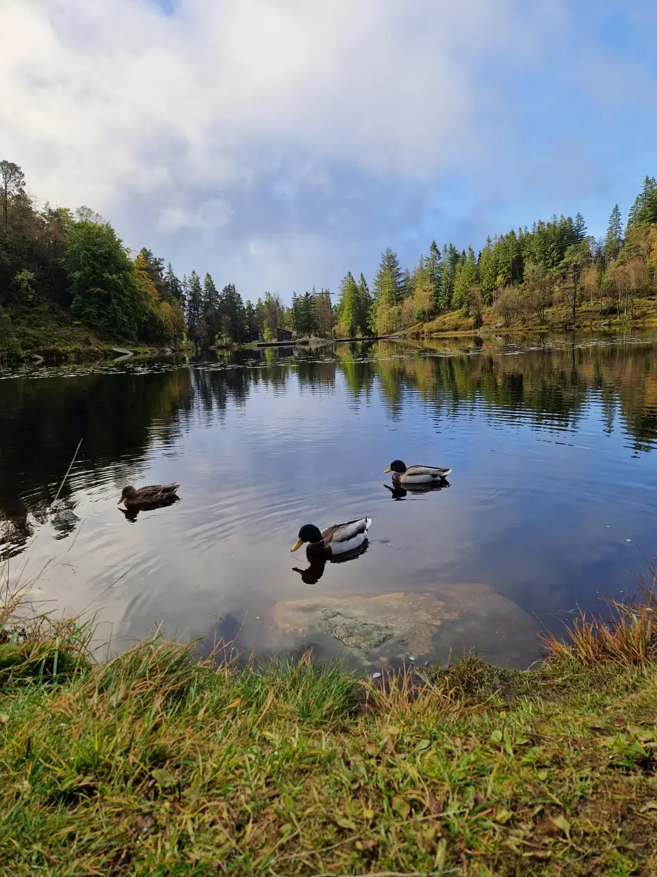Skomakerstuen
